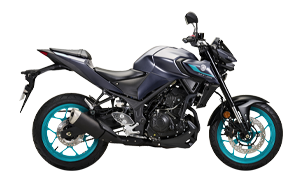 YAMAHA MT-25