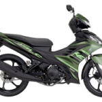 25LC135-MossGreen-300×181