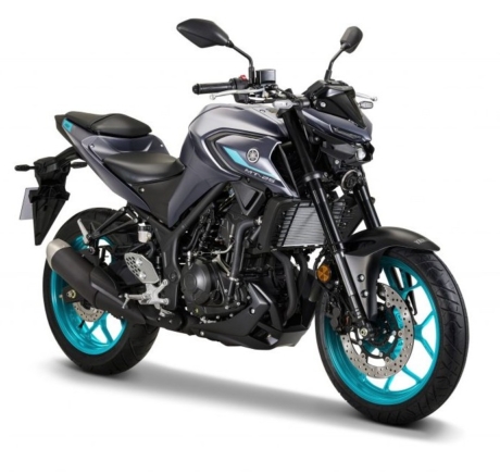 YAMAHA MT-25