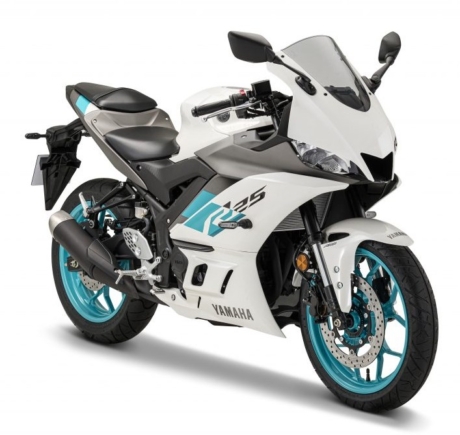 YAMAHA  YZF-R25